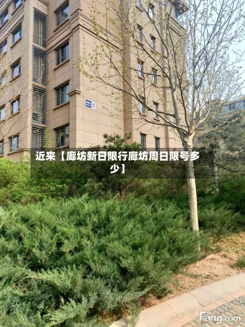 近来【廊坊新日限行廊坊周日限号多少】-第2张图片