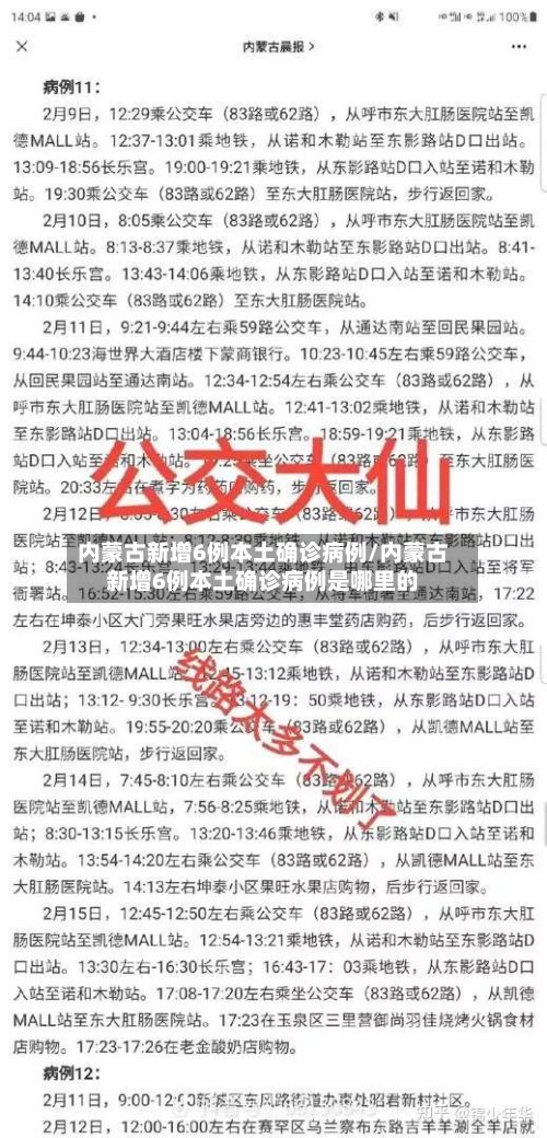内蒙古新增6例本土确诊病例/内蒙古新增6例本土确诊病例是哪里的-第2张图片