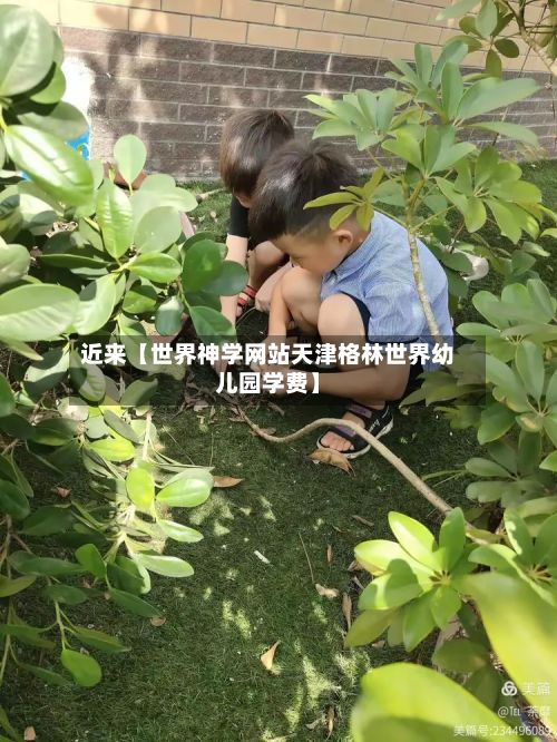 近来【世界神学网站天津格林世界幼儿园学费】-第2张图片