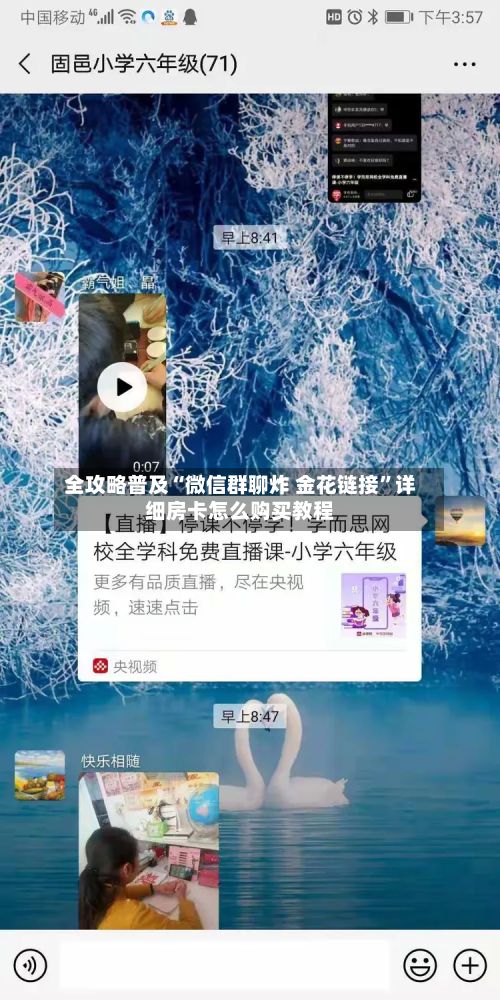 全攻略普及“微信群聊炸 金花链接”详细房卡怎么购买教程-第3张图片
