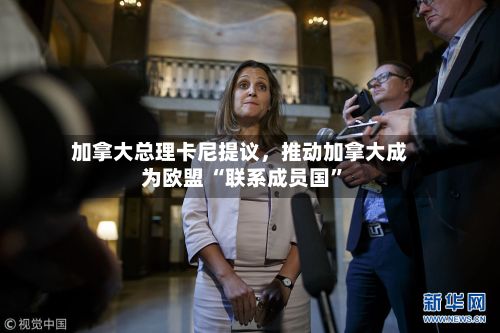 加拿大总理卡尼提议，推动加拿大成为欧盟 “联系成员国”