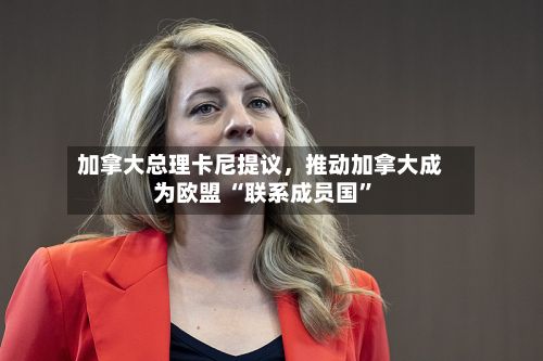 加拿大总理卡尼提议，推动加拿大成为欧盟 “联系成员国”-第3张图片