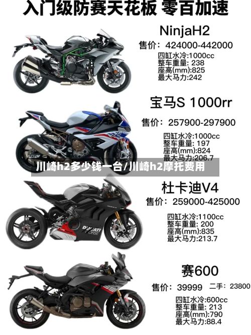 川崎h2多少钱一台/川崎h2摩托费用-第2张图片