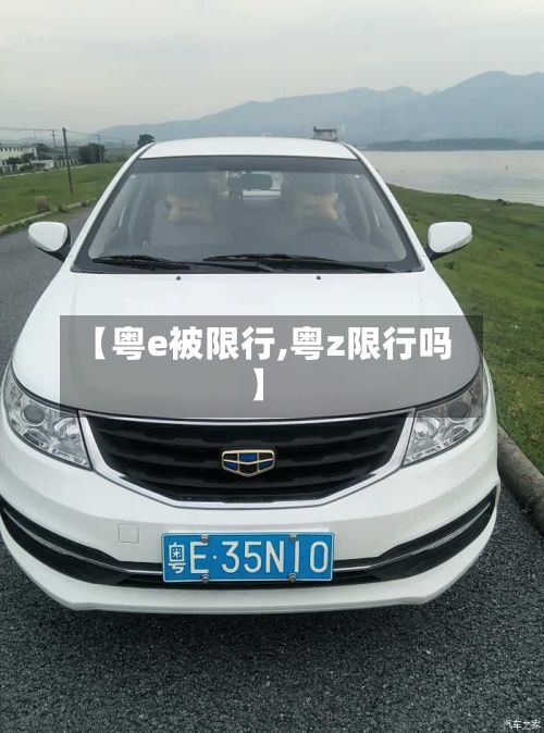 【粤e被限行,粤z限行吗】