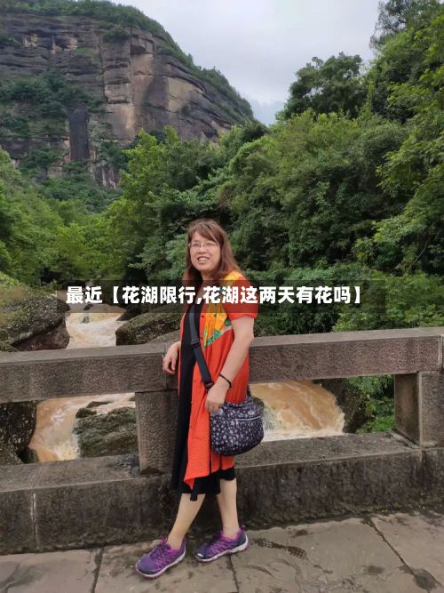 最近【花湖限行,花湖这两天有花吗】-第2张图片