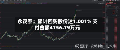 永茂泰:累计回购股份达1.001% 支付金额4756.79万元