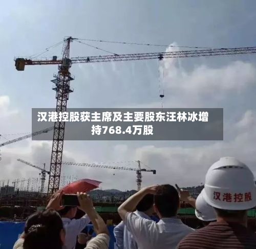 汉港控股获主席及主要股东汪林冰增持768.4万股-第2张图片