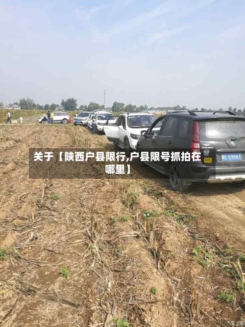 关于【陕西户县限行,户县限号抓拍在哪里】-第1张图片