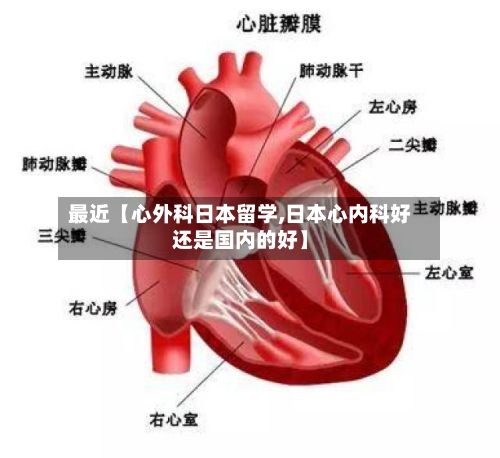 最近【心外科日本留学,日本心内科好还是国内的好】