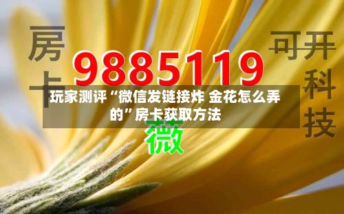 玩家测评“微信发链接炸 金花怎么弄的”房卡获取方法-第3张图片