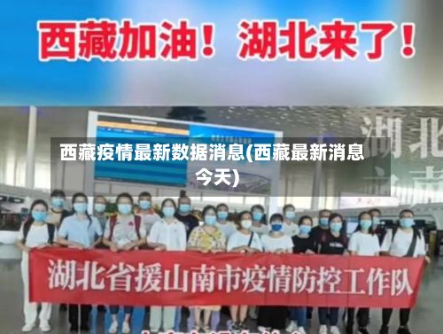 西藏疫情最新数据消息(西藏最新消息今天)-第2张图片