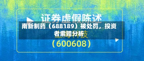 南新制药（688189）被处罚，投资者索赔分析-第2张图片
