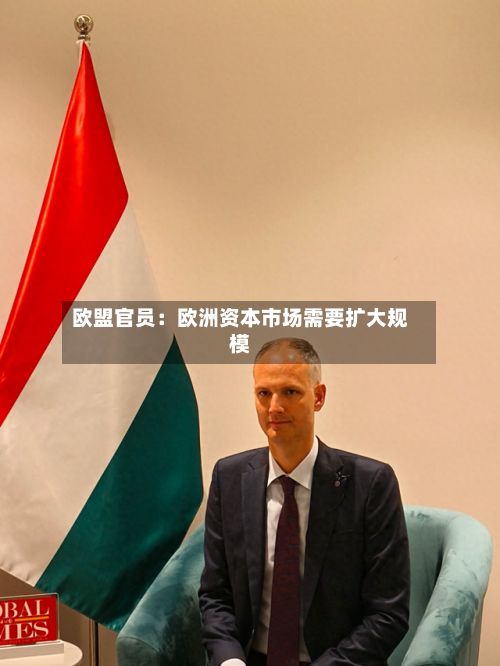 欧盟官员：欧洲资本市场需要扩大规模-第2张图片