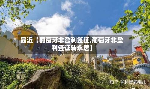 最近【葡萄牙非盈利签证,葡萄牙非盈利签证转永居】
