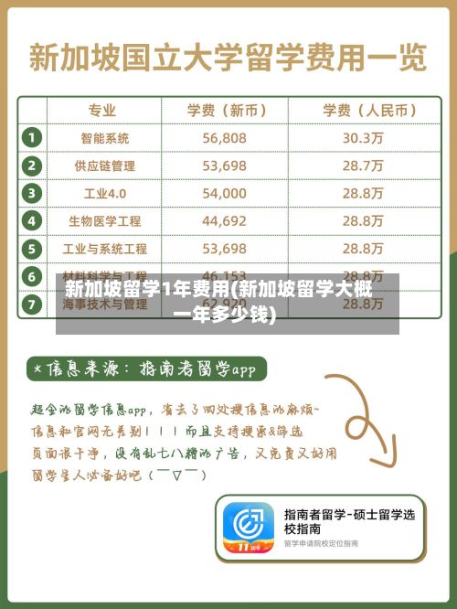 新加坡留学1年费用(新加坡留学大概一年多少钱)
