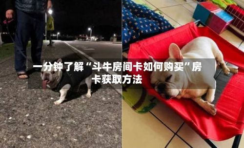 一分钟了解“斗牛房间卡如何购买”房卡获取方法-第2张图片