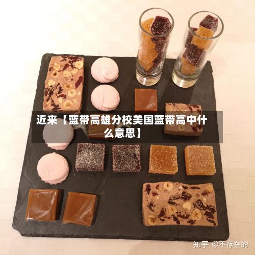 近来【蓝带高雄分校美国蓝带高中什么意思】-第2张图片