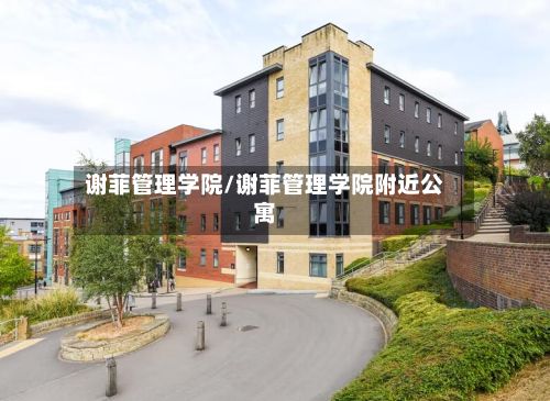 谢菲管理学院/谢菲管理学院附近公寓