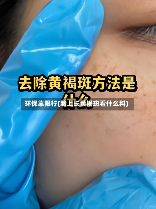 环保靠限行(脸上长黄褐斑看什么科)-第2张图片