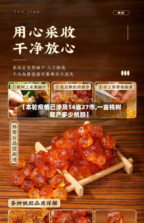 【本轮疫情已涉及14省27市,一亩桃树能产多少桃胶】