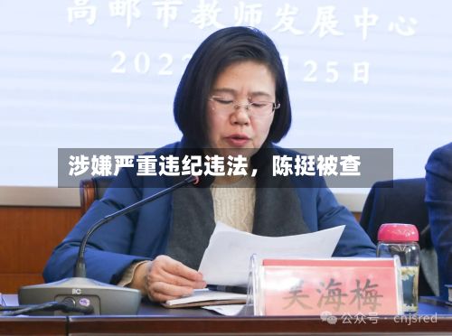 涉嫌严重违纪违法	，陈挺被查-第2张图片