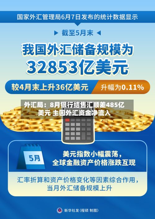 外汇局：8月银行结售汇顺差485亿美元 主因外汇资金净流入