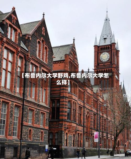 【布鲁内尔大学野鸡,布鲁内尔大学怎么样】-第2张图片