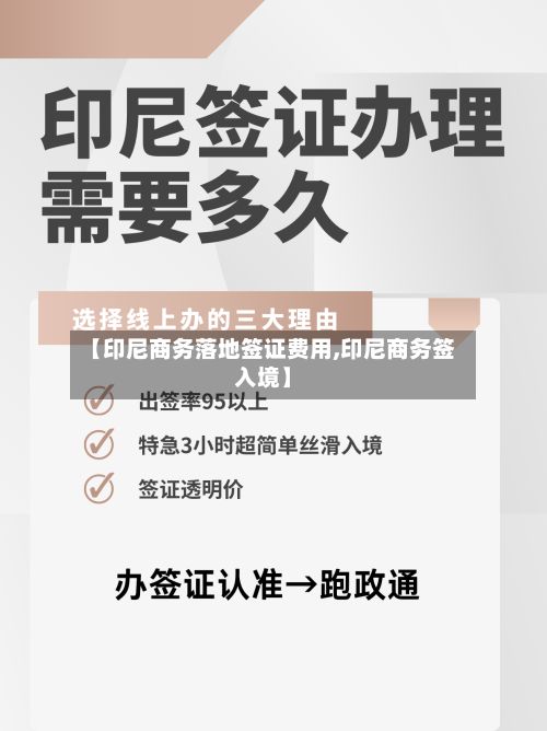 【印尼商务落地签证费用,印尼商务签入境】-第2张图片