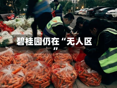 碧桂园仍在“无人区	”-第2张图片