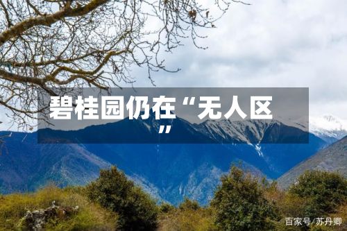 碧桂园仍在“无人区”-第3张图片