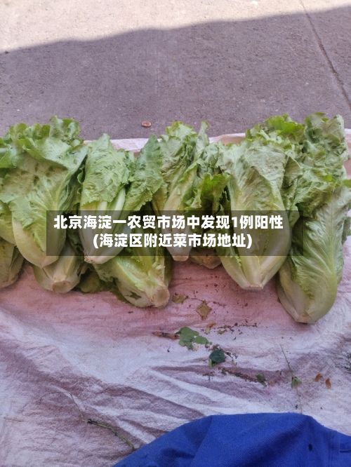 北京海淀一农贸市场中发现1例阳性(海淀区附近菜市场地址)-第2张图片