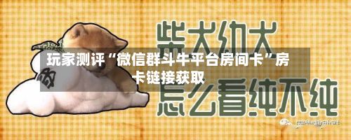 玩家测评“微信群斗牛平台房间卡”房卡链接获取-第2张图片
