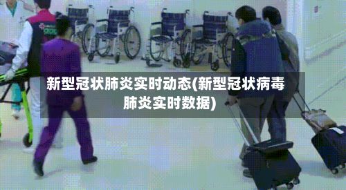 新型冠状肺炎实时动态(新型冠状病毒肺炎实时数据)