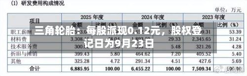 三角轮胎：每股派现0.12元，股权登记日为9月23日-第2张图片