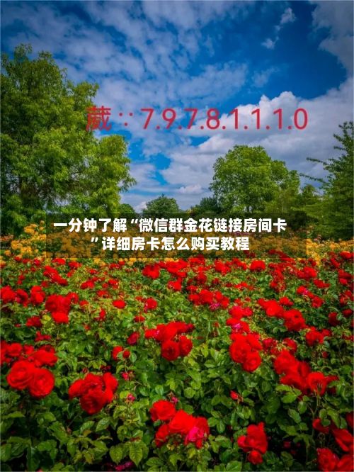 一分钟了解“微信群金花链接房间卡	”详细房卡怎么购买教程-第2张图片