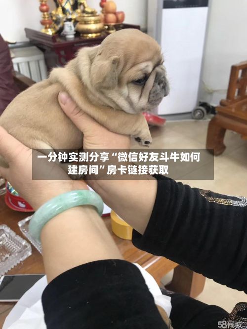 一分钟实测分享“微信好友斗牛如何建房间	”房卡链接获取-第2张图片