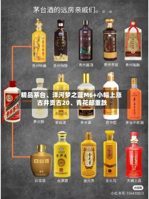 精品茅台	、洋河梦之蓝M6+小幅上涨 古井贡古20、青花郎重跌-第2张图片