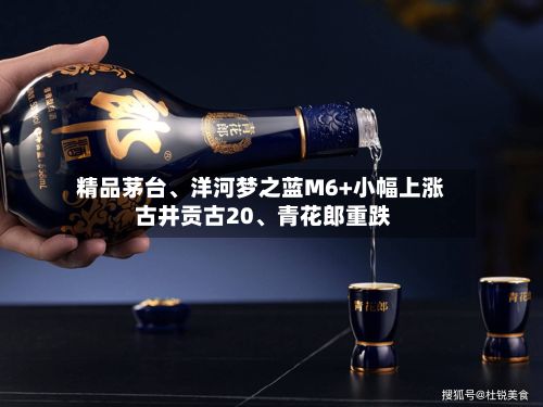 精品茅台、洋河梦之蓝M6+小幅上涨 古井贡古20、青花郎重跌