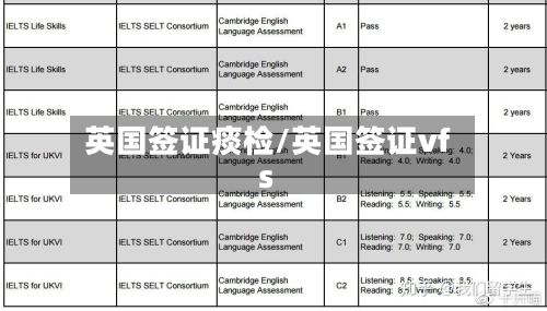 英国签证痰检/英国签证vfs