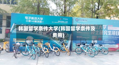 韩国留学条件大学(韩国留学条件及费用)