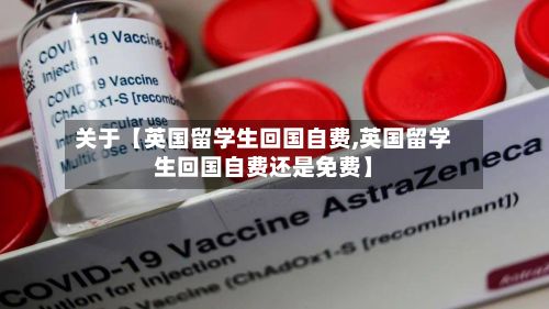关于【英国留学生回国自费,英国留学生回国自费还是免费】-第2张图片
