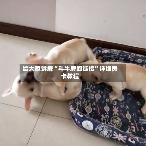 给大家讲解“斗牛房间链接”详细房卡教程-第2张图片