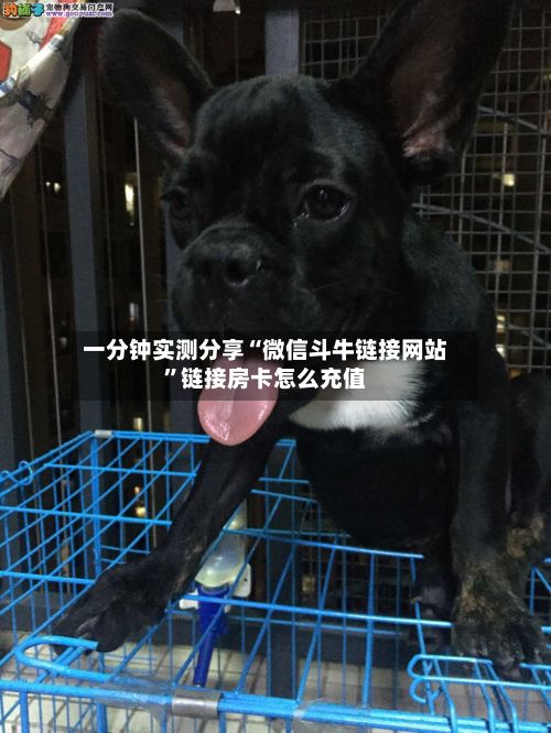 一分钟实测分享“微信斗牛链接网站	”链接房卡怎么充值-第3张图片