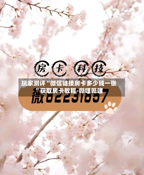 玩家测评“微信链接房卡多少钱一张”获取房卡教程-哔哩哔哩
