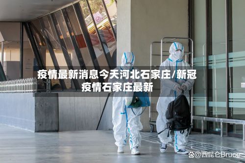 疫情最新消息今天河北石家庄/新冠疫情石家庄最新-第3张图片