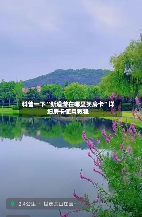 科普一下“新道游在哪里买房卡”详细房卡使用教程-第2张图片