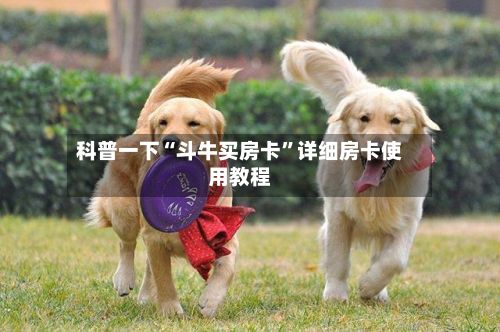 科普一下“斗牛买房卡	”详细房卡使用教程-第3张图片